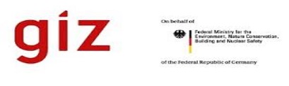 https://www.giz.de/en/html/index.html